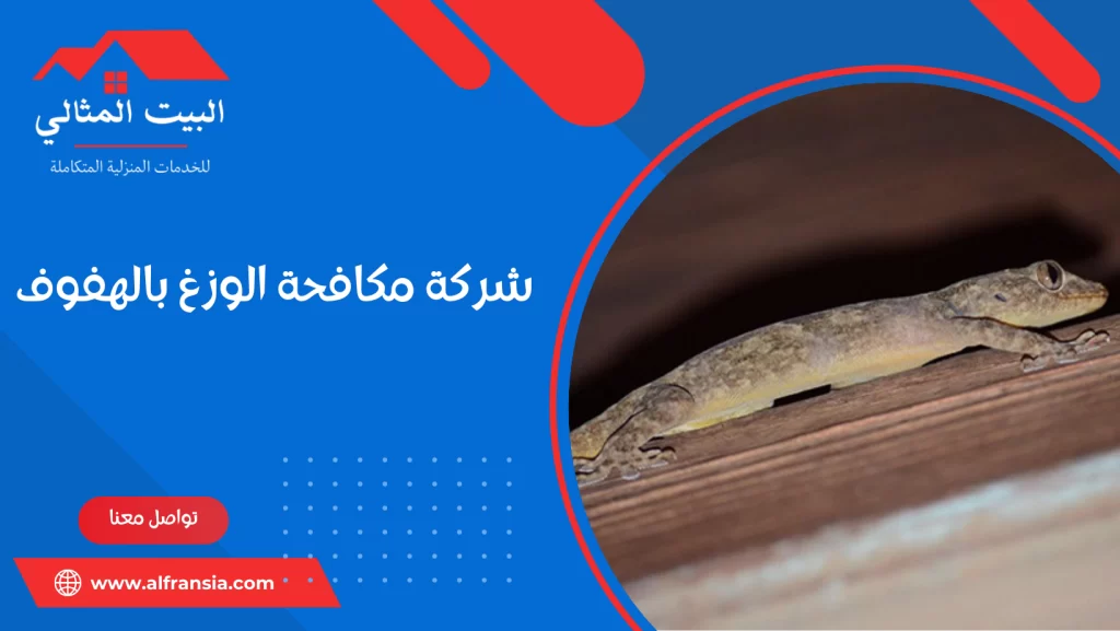 شركة مكافحة الوزغ بالهفوف