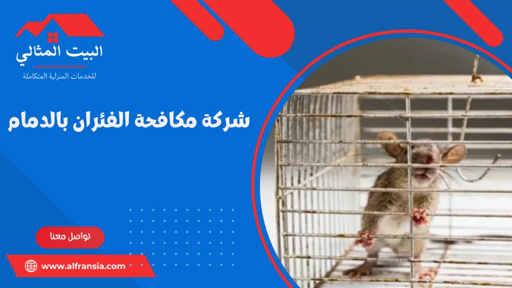 شركة مكافحة الفئران بالدمام