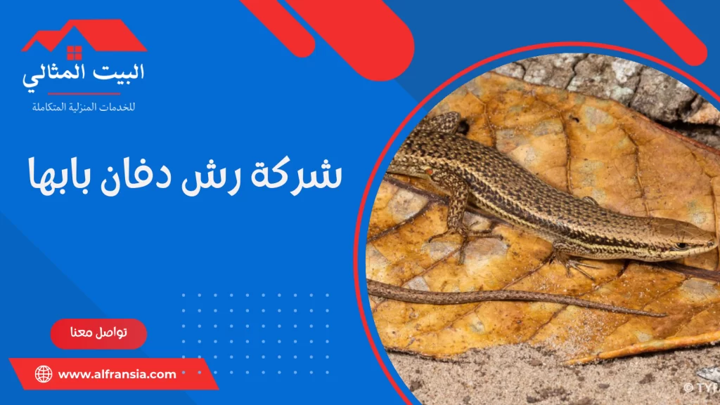 شركة رش دفان بابها