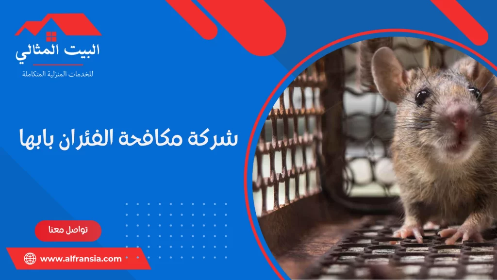 شركة مكافحة الفئران بابها