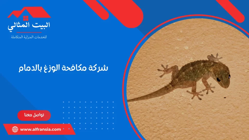 شركة مكافحة الوزغ بالدمام