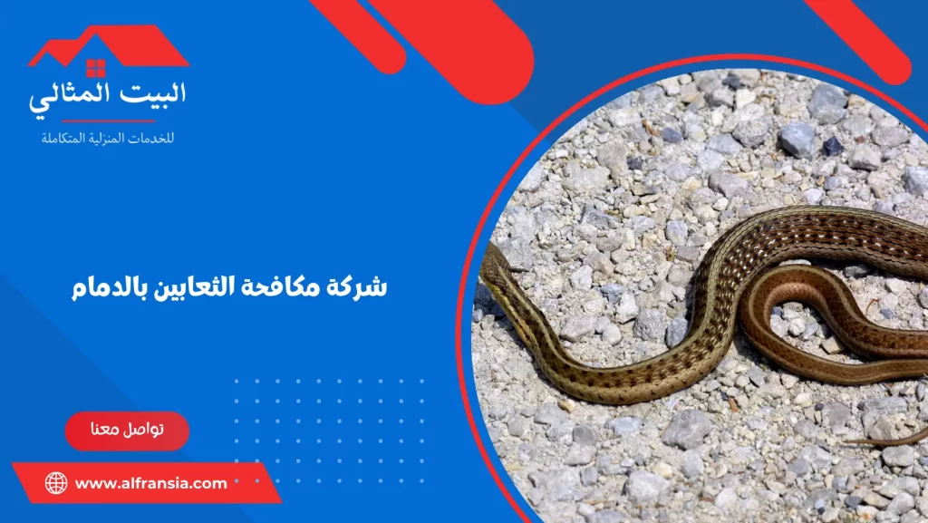 شركة مكافحة الثعابين بالدمام