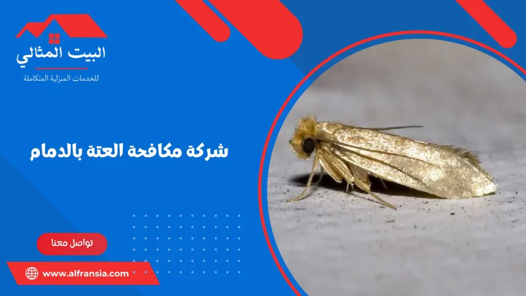 شركة مكافحة العتة بالدمام