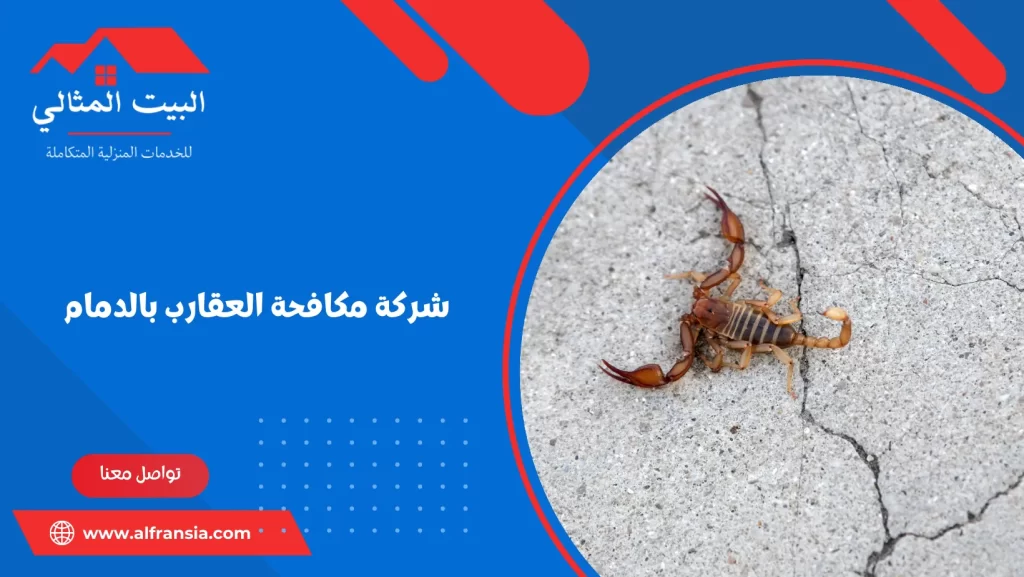 شركة مكافحة العقارب بالدمام