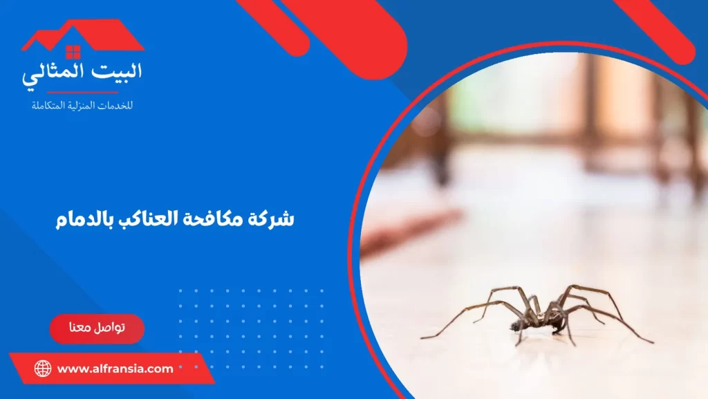 شركة مكافحة العناكب بالدمام