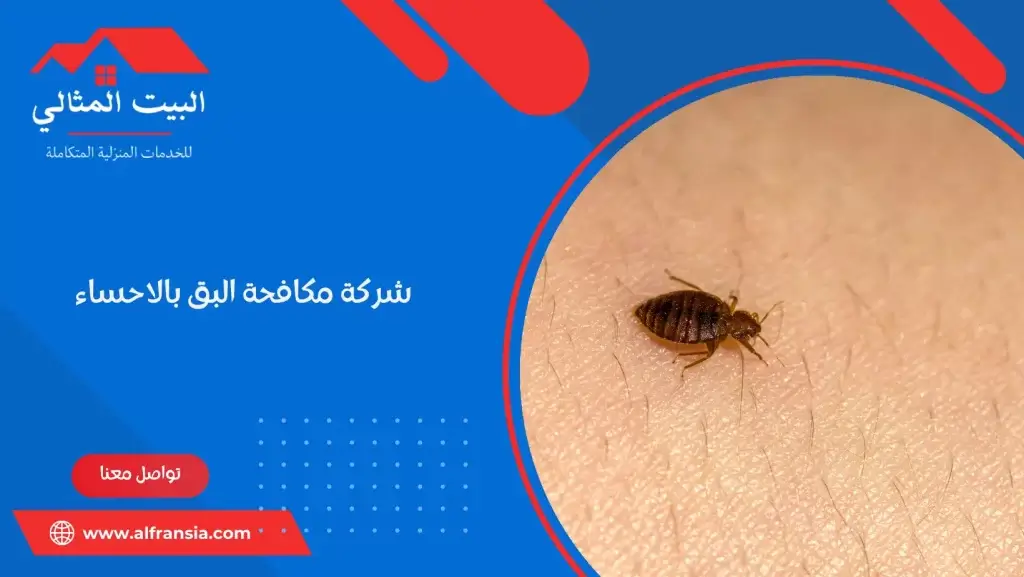 شركة مكافحة البق بالاحساء