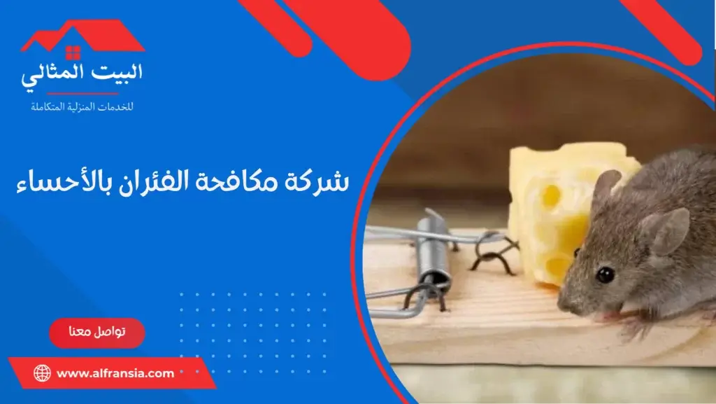 شركة مكافحة الفئران بالأحساء