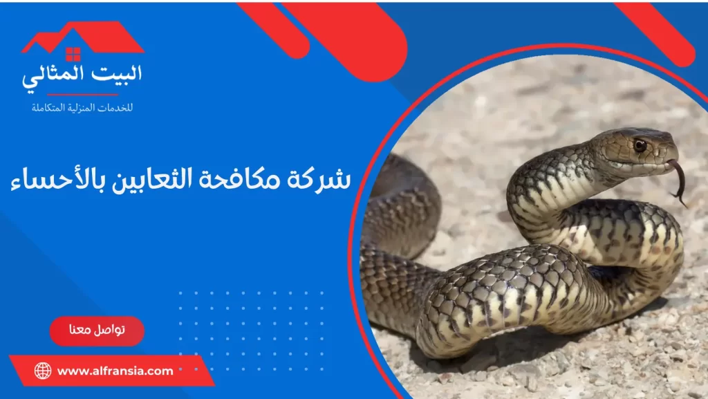 شركة مكافحة الثعابين بالأحساء