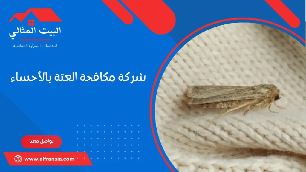 شركة مكافحة العتة بالأحساء