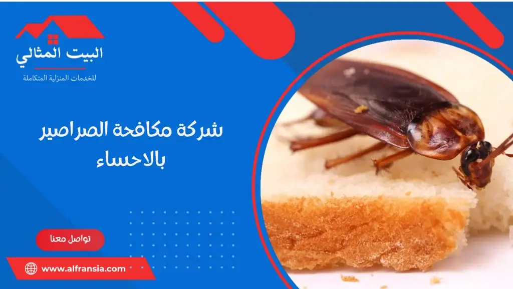 شركة مكافحة الصراصير بالاحساء