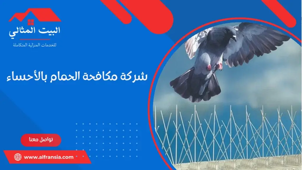 شركة مكافحة الحمام بالأحساء