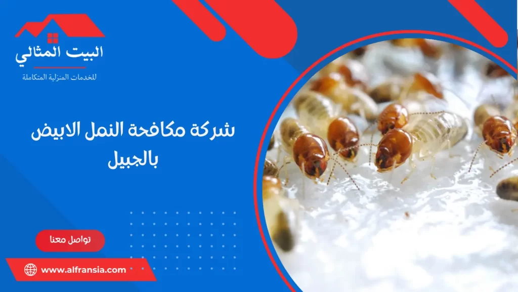 شركة مكافحة النمل الابيض بالجبيل