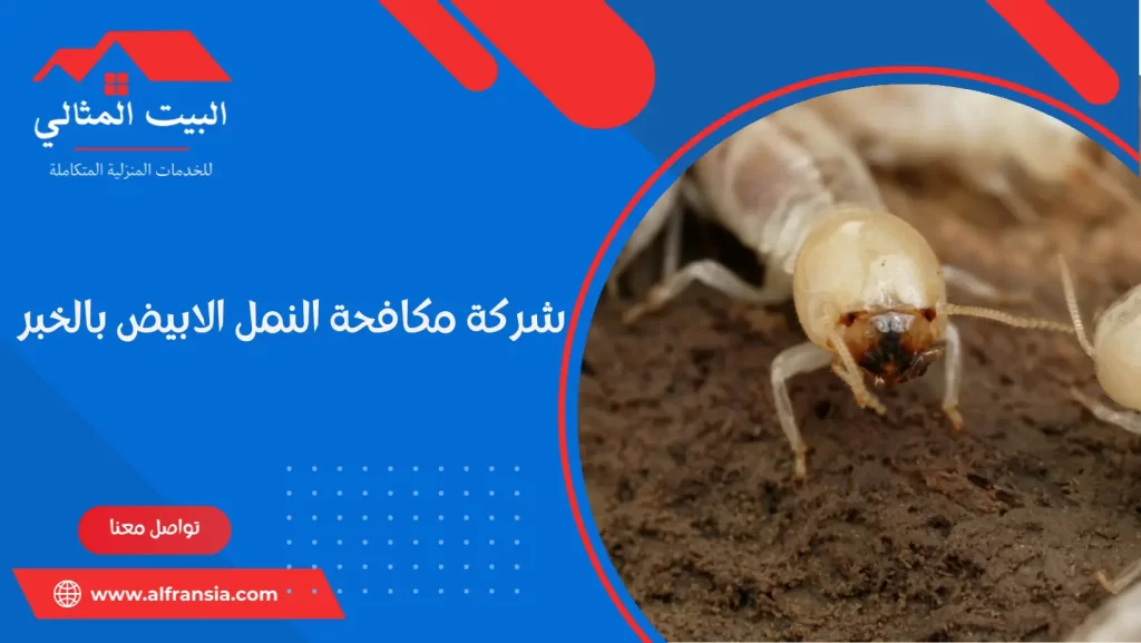 شركة مكافحة النمل الابيض بالخبر